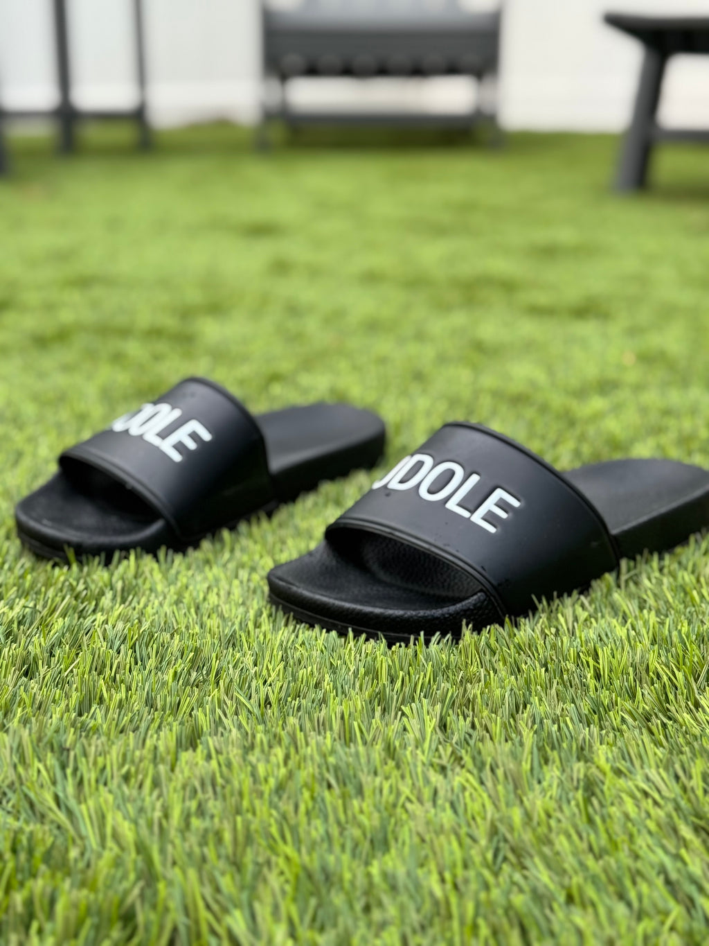 PREMIUM SLIDES